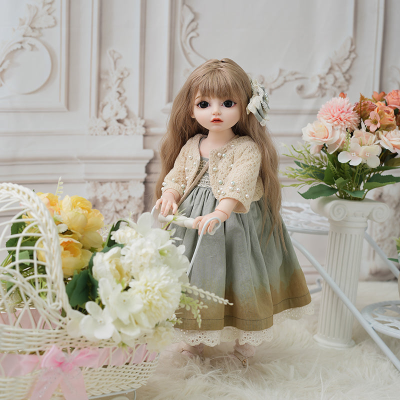 Reborn Ball Jointed Dolls